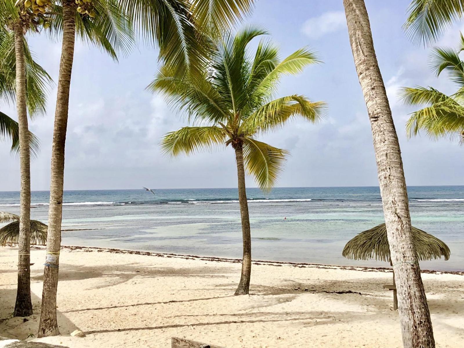 Guadeloupe- Saint-Francois- Residence Anse Des Rochers - Appartement Quart De Villa Etage - Vue Mer- 4 Personnes - Lit Bebe Sur Demande - Citerne Et Wifi Prives -Animaux Ok-Acces Plage Direct -Apnee Bien-Etre Experience Sur Demande Avec Instructeur A Экстерьер фото